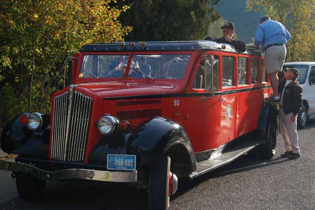 one of the famous red buses 